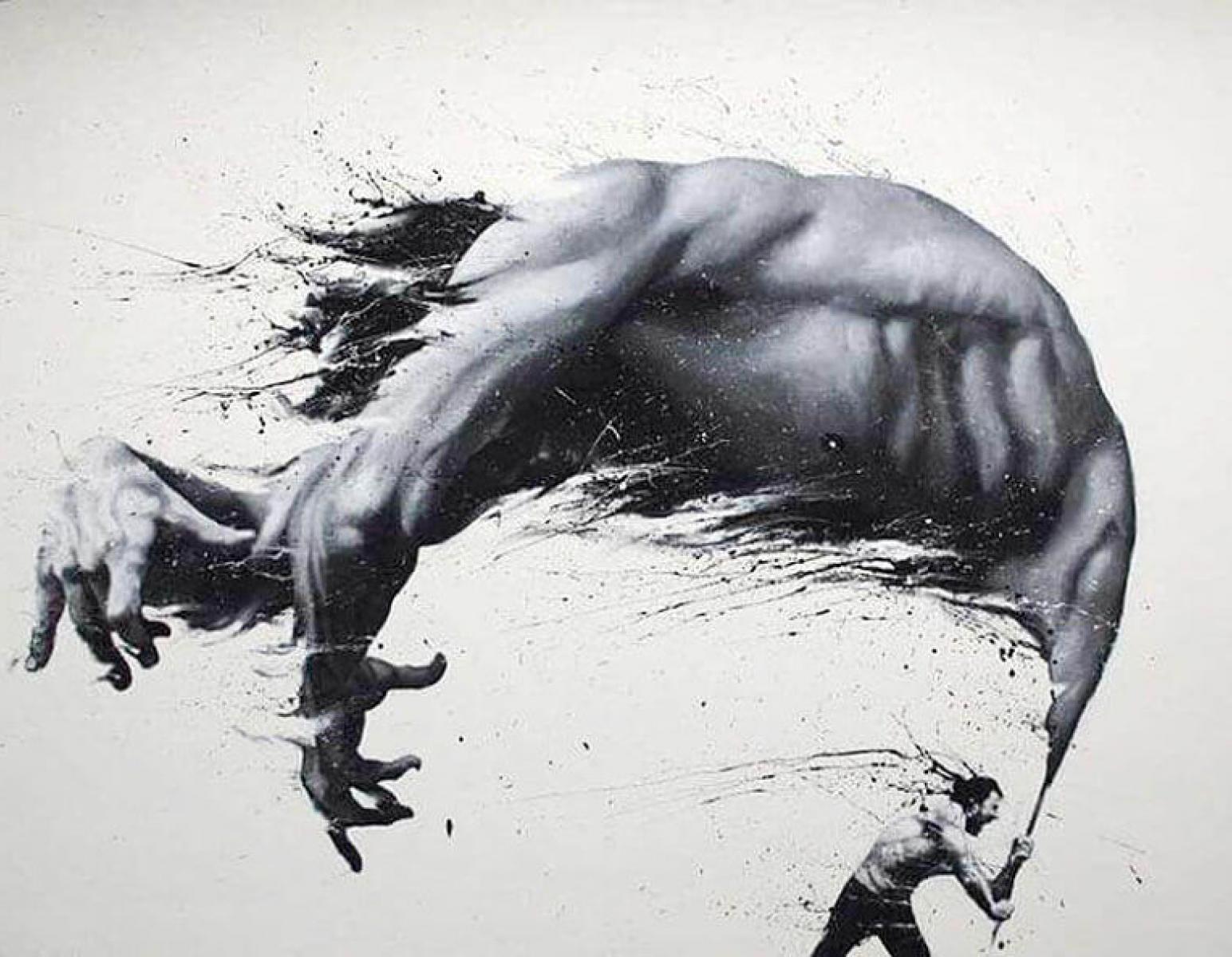 paolo troilo